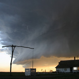 شادوف في مزرعة