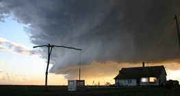 شادوف في مزرعة