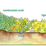 Hazánk életterei az Alpokaljától az Alföldig