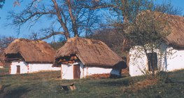 أبنية ذات أسقف مصنوعة من القش