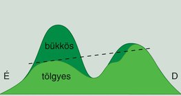 Tölgy- és bükkerdők elhelyezkedése a domb- és hegyvidékeken