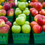 أنواع التفاح