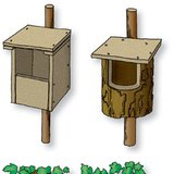 Fészekodúk és kihelyezésük