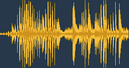 عقاب أبيض الذنب