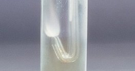 سيستمر الهيدروجين بالاحتراق داخل غاز الكلور