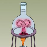 عرض تدفق الحرارة باستخدام الماء الملون