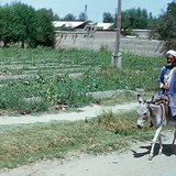 منطقة شبه قاحلة في توران