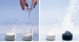 تفاعل حمض الكبريت المركز مع السكر