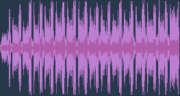 البقويقة السوداء الذيل