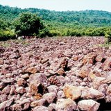 كتلة من الأحجار