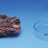 يتعفن الخشب ببطئ لكنه يحترق بسرعة.