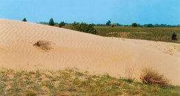 تلال رملية في كيشكونشاغ، المجر