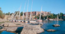 مشهد لنهر النيل حالياً