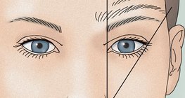 حواجب ذات أطوال مختلفة