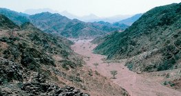 قاع النهر الدوري