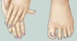 اليد و القدم المعتنى بهما