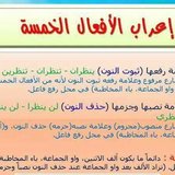 IMG-dc7f3df3b72daebcf7e97d2a95ca2631-V