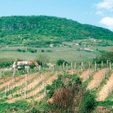 الحراثة على السطح المنحدر تزيد تآكل التربة