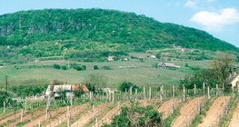 الحراثة على السطح المنحدر تزيد تآكل التربة