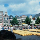 سوق الجبن في الكمار