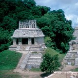 غابة استوائية مع أنقاض