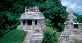 غابة استوائية مع أنقاض