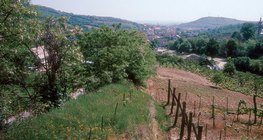 A Szekszárdi-dombság a Dunántúli-dombság része