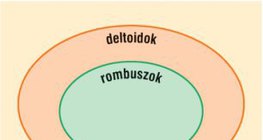 A négyszögek csoportosítása