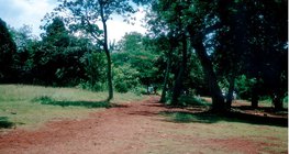 الاتيرايت هو التربة النموذجية للحزام الاستوائي