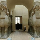 الثور المجنح