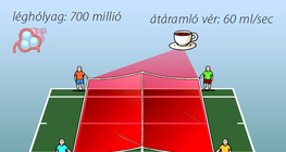 Légzőfelület