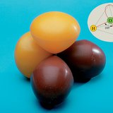 روابط جزيء الماء