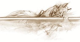 تبقى الحيوانات المائية على قيد الحياة في المياه "الأدفئ" تحت سطح الجليد حتى لو كان الطقس بارداً