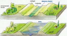 Hullámtér, védőgát, ártér, ármentesített terület