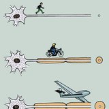 نقل التنبيه