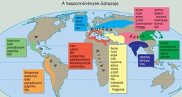 A haszonnövények őshazája