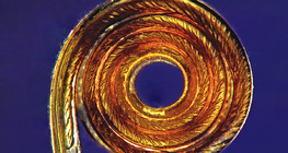 اللسان الخرطومي للفراشة