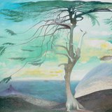 تيفادار تشونتفاري: شجرة الأرز الوحيدة (1907)