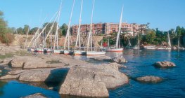 النيل هو شريان الحياة في مصر