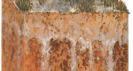 التربة المالحة