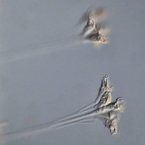 مشرية أحادية الخلية