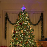 شجرة عيد الميلاد