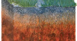 تربة الغابات البنية