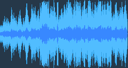 نورس أسود الرأس