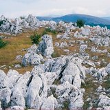 مشهد كارستي