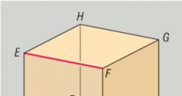 زوايا متخالفة