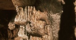 صواعد الكهوف