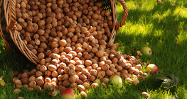 سلة من الجوز