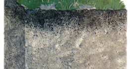 مركب طيني دبالي