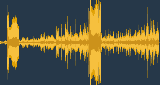 نقار الخشب الأسود